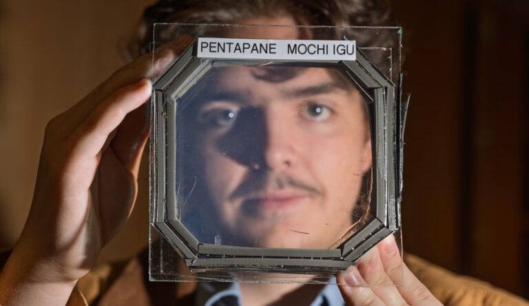 New Publication: Mesoporous optically clear heat insulators for sustainable building envelopes